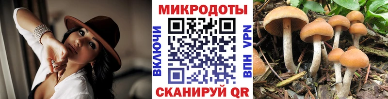 Галлюциногенные грибы прущие грибы  продажа наркотиков  Заозёрск 